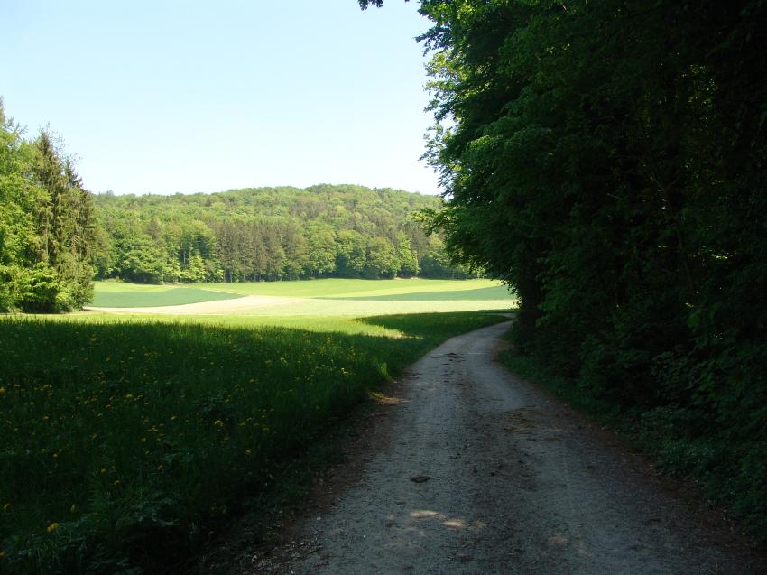 Hüttikerberg
